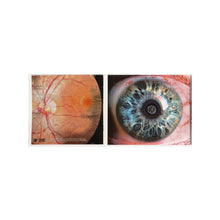 Load image into Gallery viewer, MY BLOODY AMERICA CD